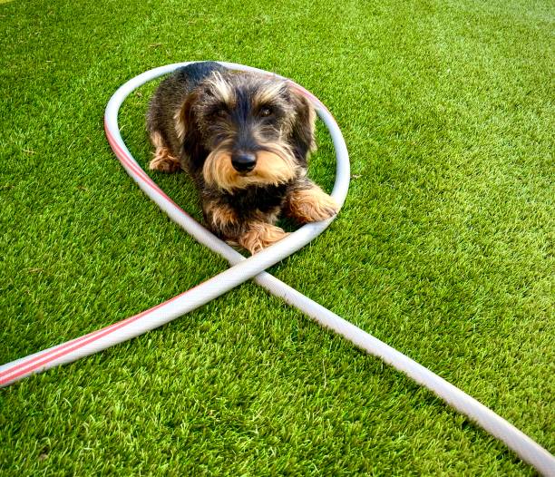 grass sintetico para mascotas